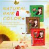 Hot Sell Natural Hair Dye Wildolive Green Box Henna Hair Dye Powder - Image 4