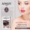 ANGY Eyebrow Coloring Cream Eyebrow Coloring Powder eye black Lasting Waterproof Eyebrow Coloring Cream - Image 7